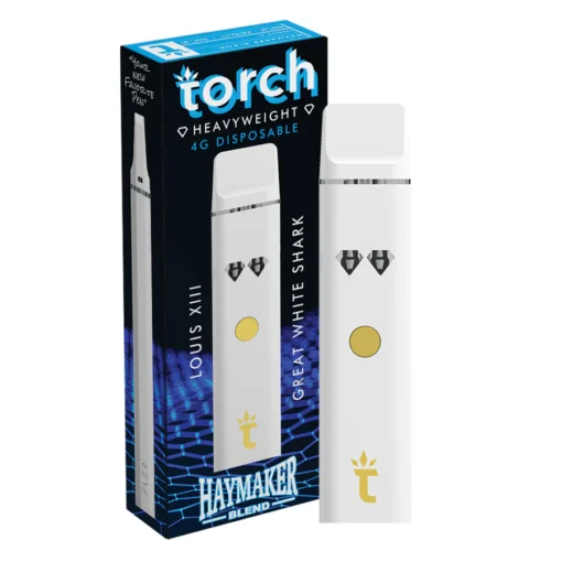 Torch Pen