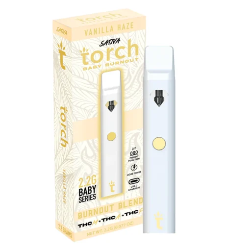 Torch 2G Disposable