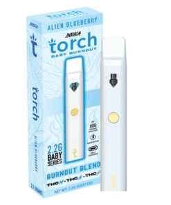 torch disposable 2g