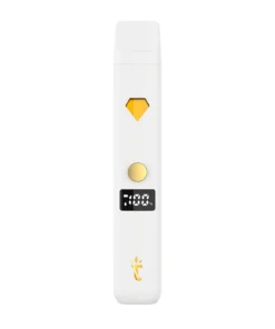 Torch 1g disposable