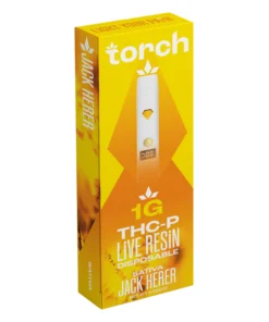 torch disposables